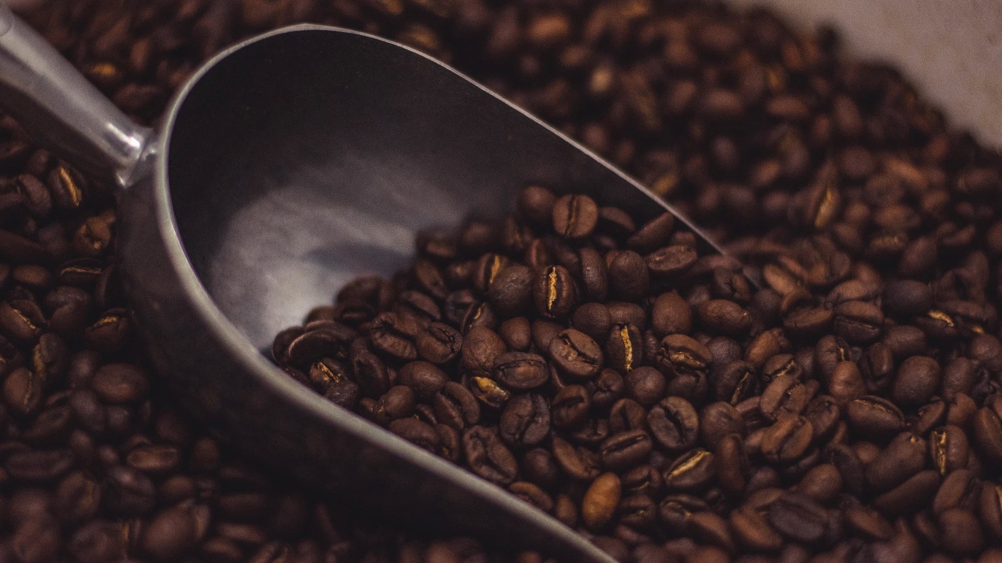 Decaf (5lb)