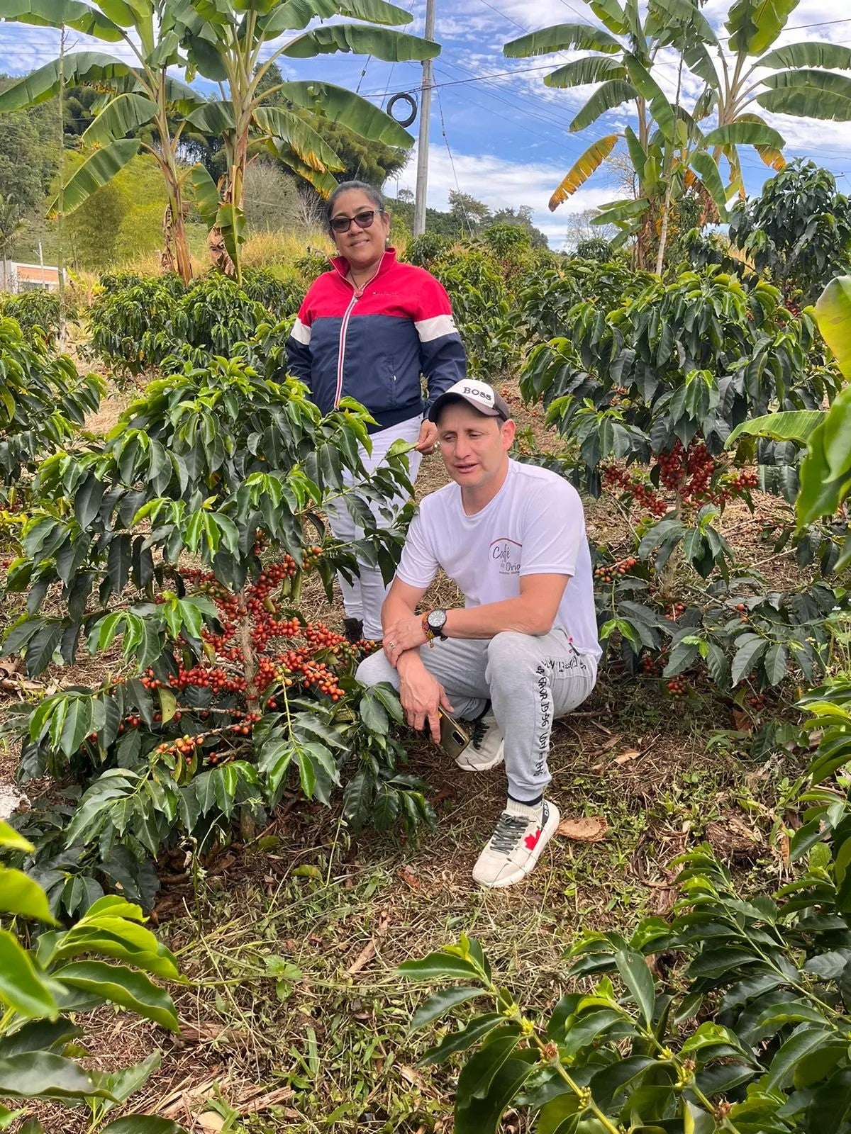 Colombia La Esperanza Geisha