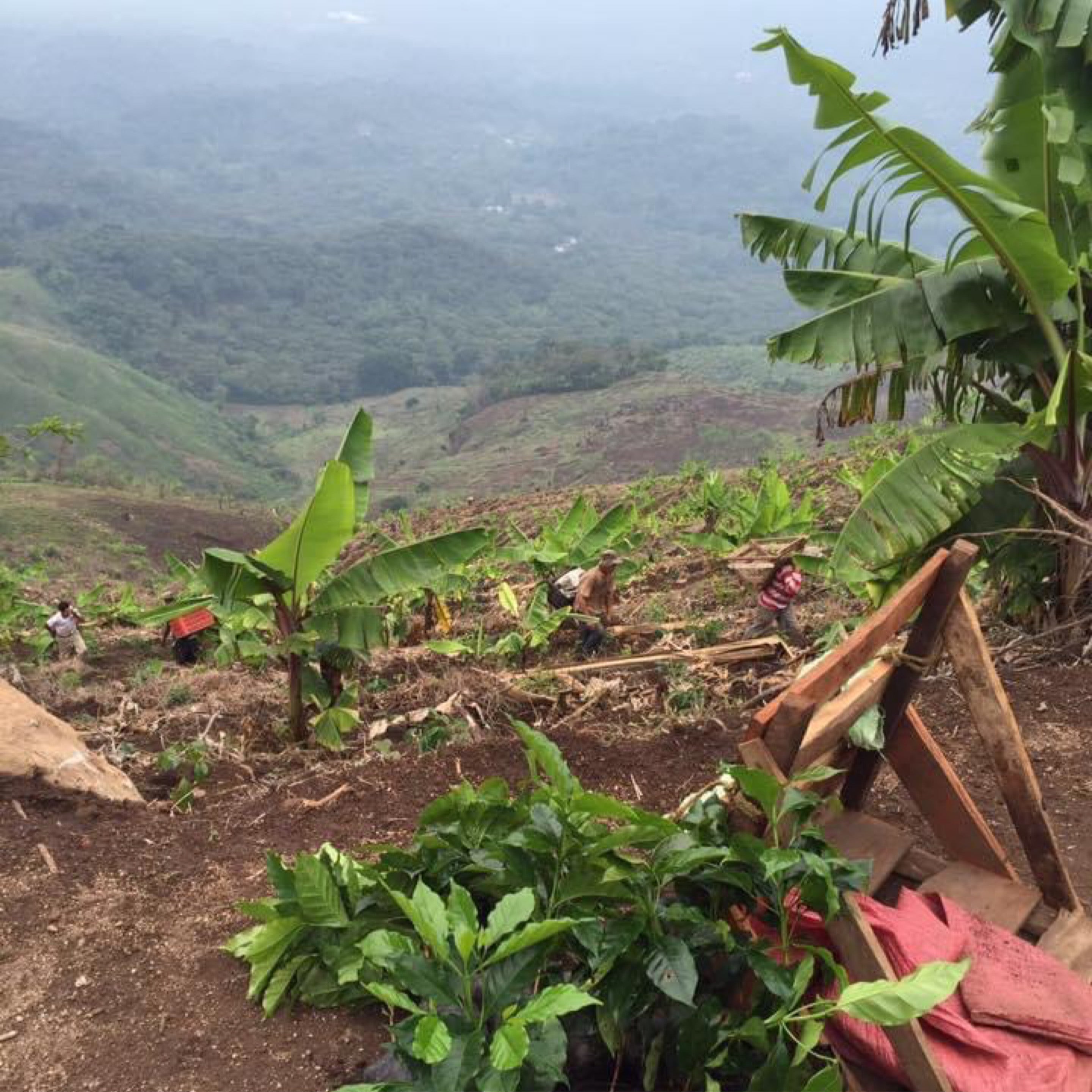 Guatemala San Luis